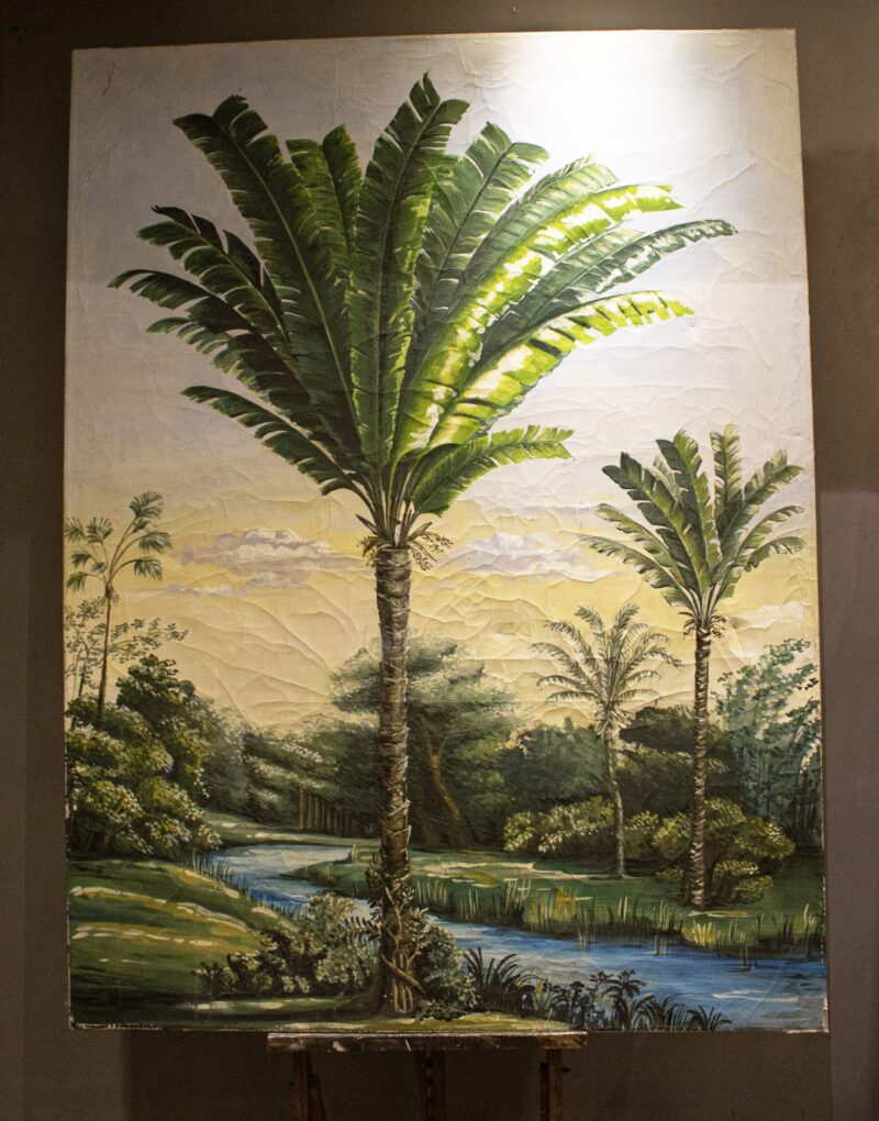 paesaggio tropicale