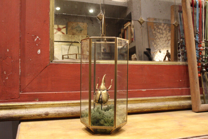 Beetle hexagonal lantern (medium) made of glass and iron with an iron pedestal and moss. More pics and details on request.